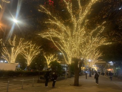 ご近所もライトアップ🎄