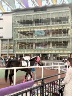 会社を皆で早退して競馬場へ🐎