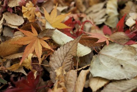 明日は東京オフ会🌈