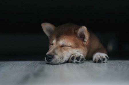 毎月体調不良？