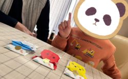 甥っ子くん！今年のお年玉チャレンジは「ポケモン」