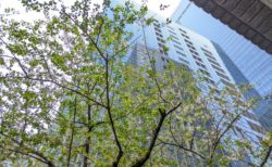 【オフ会Live】30代初心者さんオフ会スタート